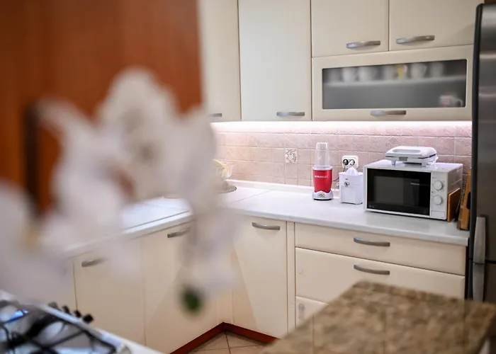 Lucian Apartamento *